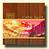 Celtic Spirit album cover