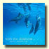 With The Dolphins album page