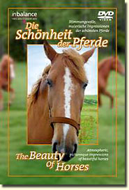 The Beauty of Horses DVD cover