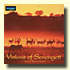 Visions Of Serengeti album page