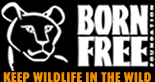 Born Free Logo